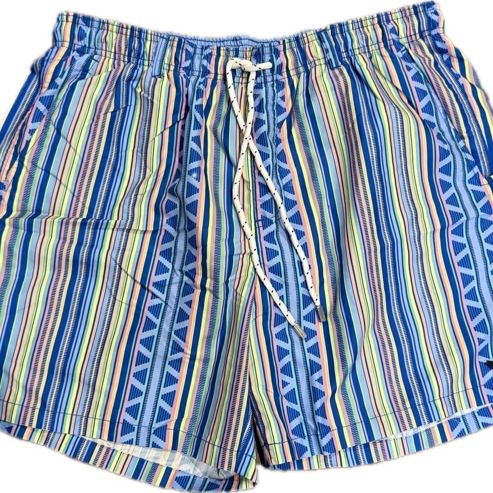Southern Marsh Men's Blue Multi-Stripe Swim Trunks